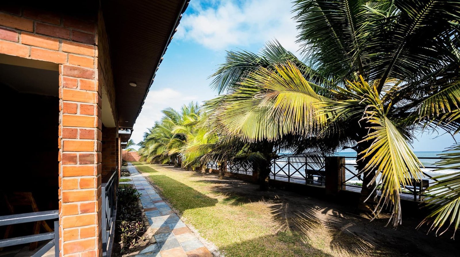 The palm-lined path running between the chalets